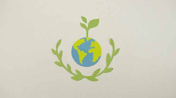 Les meilleurs vins français à offrir en cadeau : une sélection incontournable